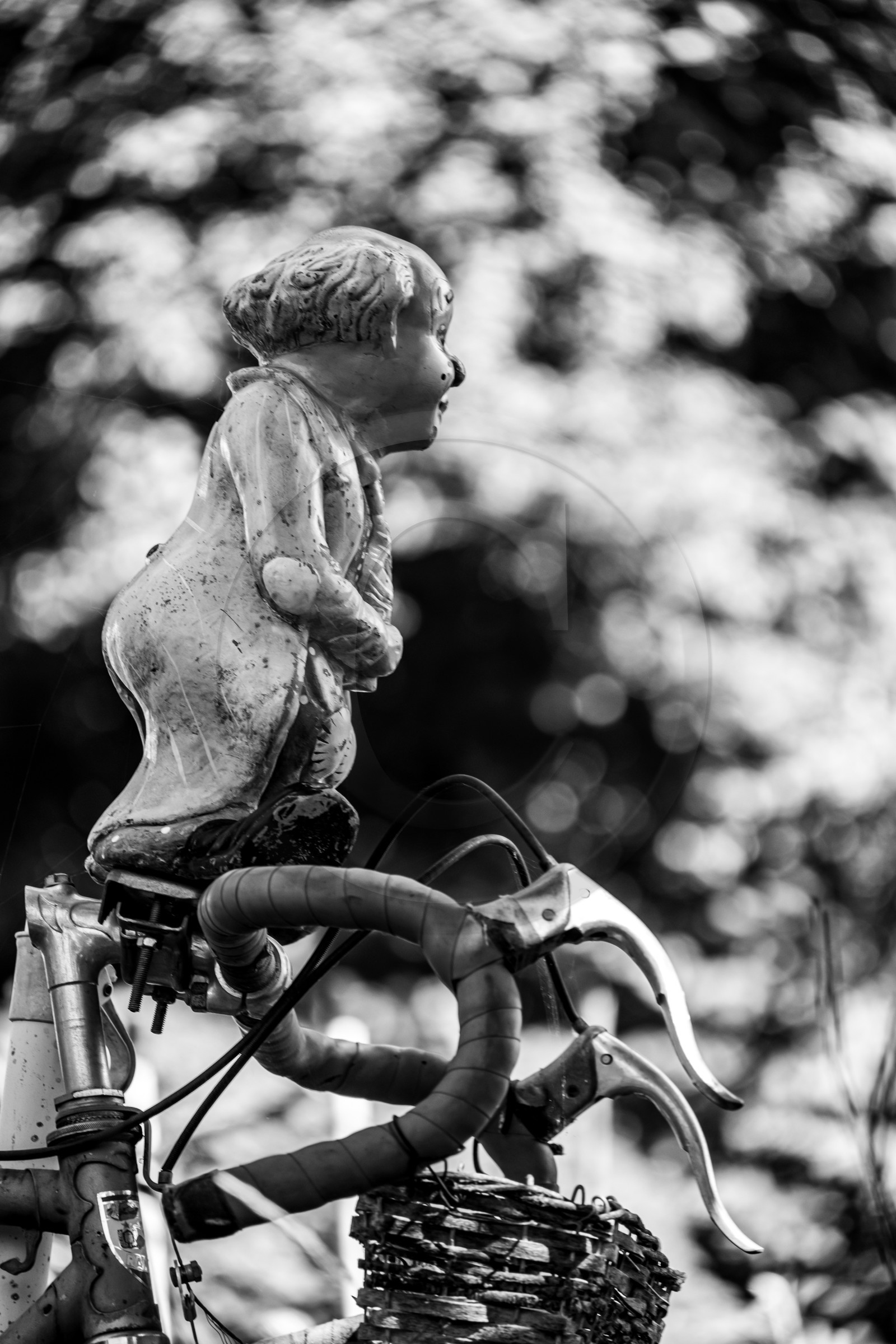 23 aout 2024 : Journée des aidants, aidés et anciens aidants