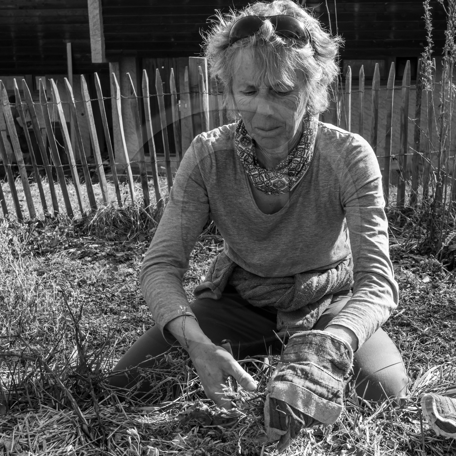 24 février 2021 : on taille, on prépare le jardin...