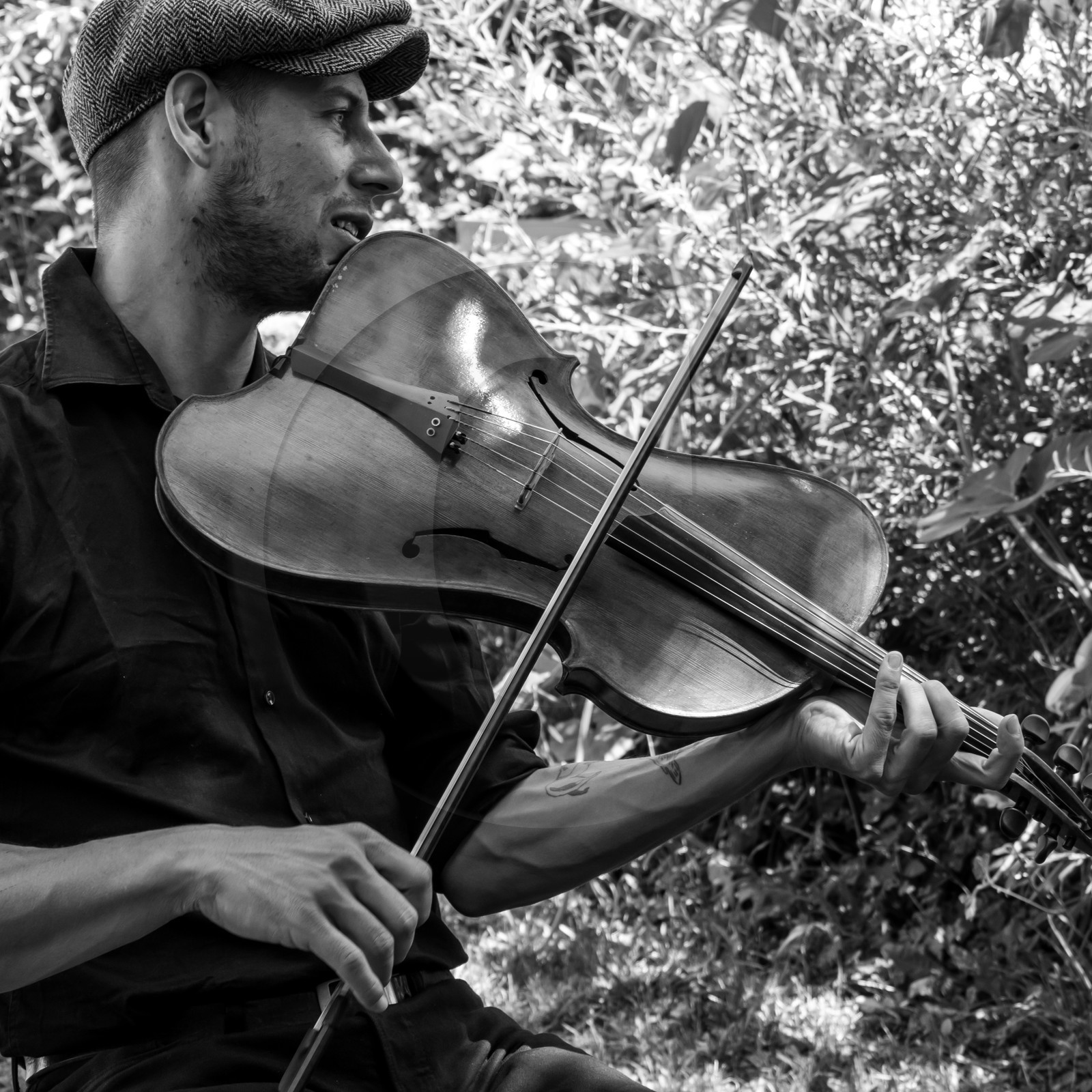 07 août 2017 - Sieste Musicale