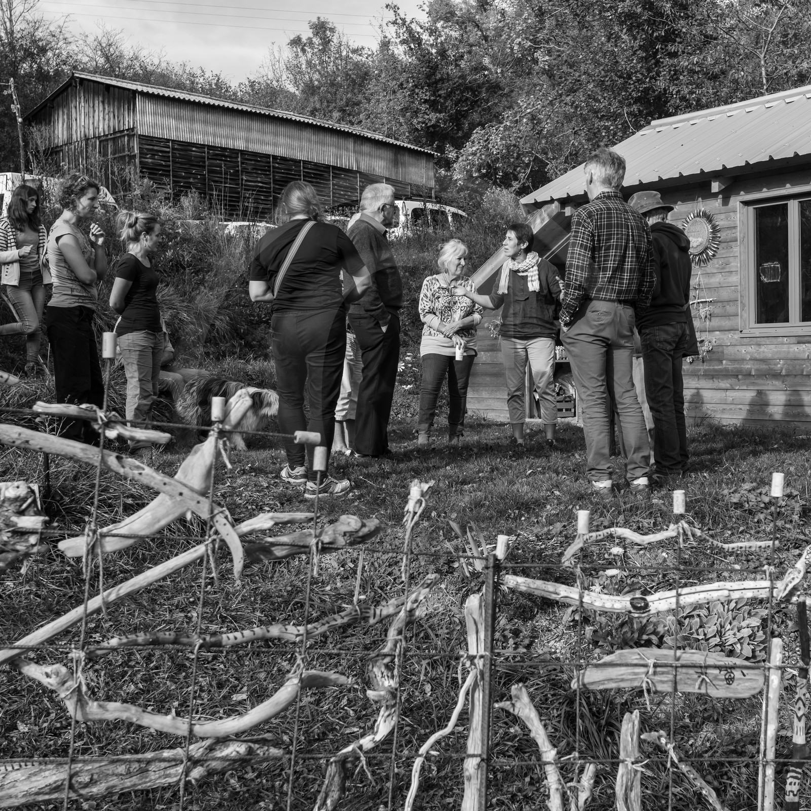 27 octobre 2019 : pommes, soupes et gâteaux