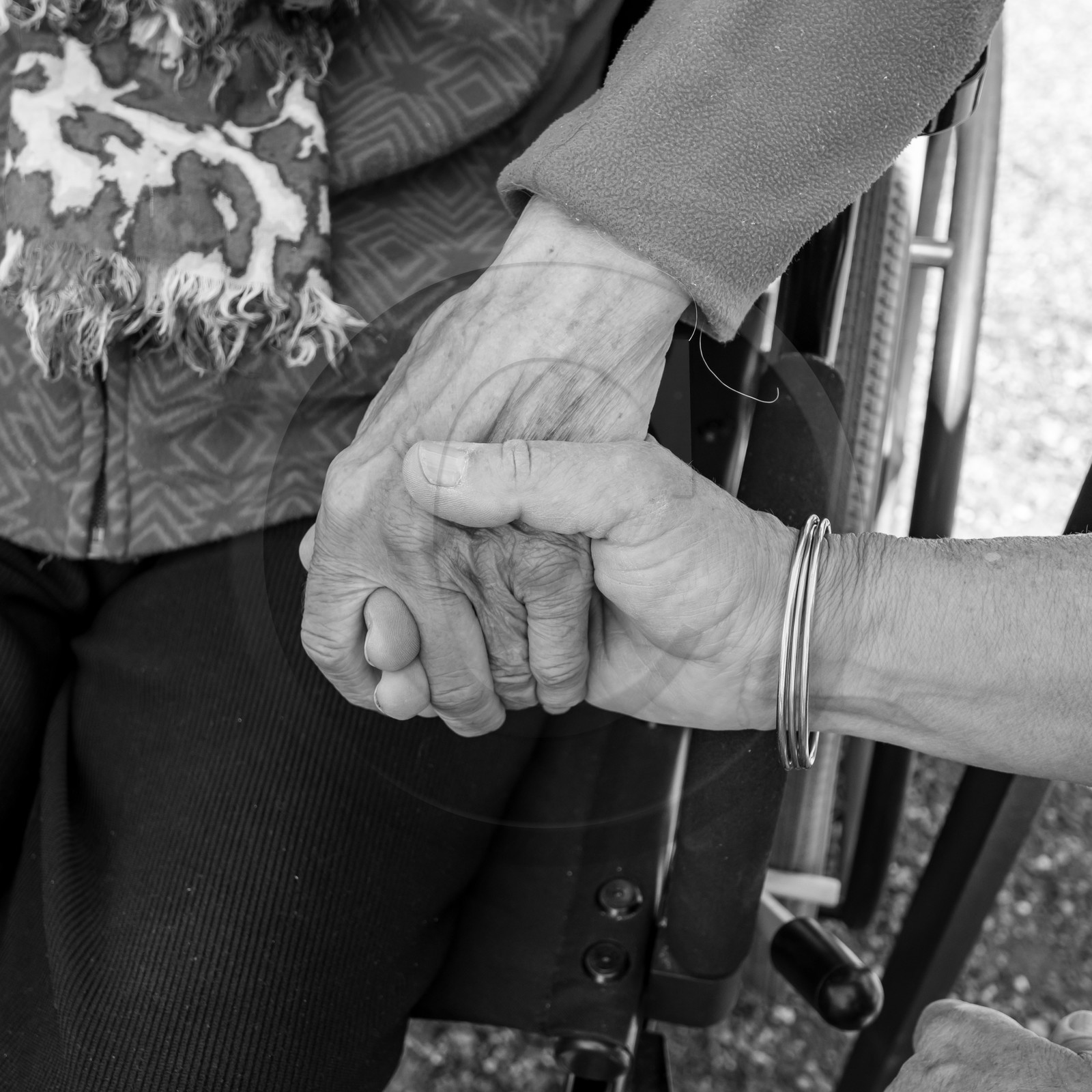 06 juin 2021 : Vide-Jardin et peinture végétale