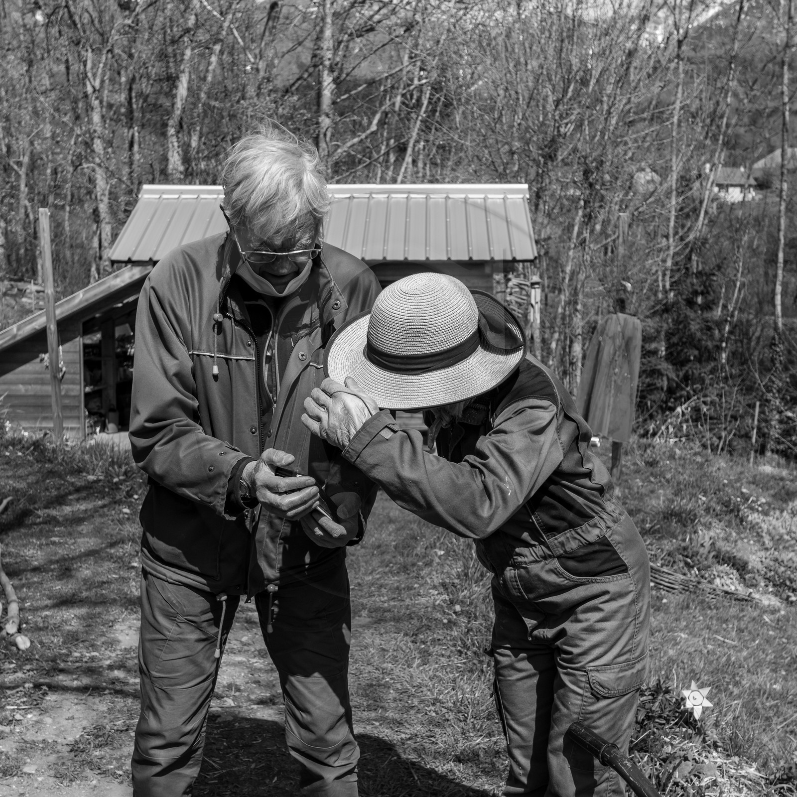 14 avril 2021 : collages, taille, jardinage