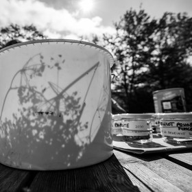 06 juin 2021 : Vide-Jardin et peinture végétale