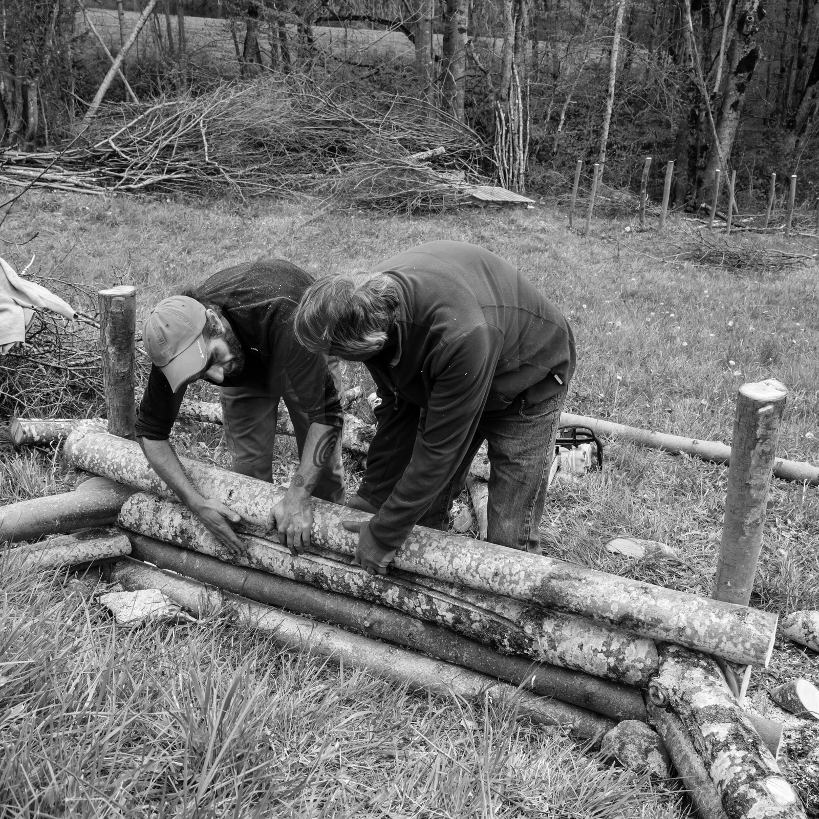 03 mai 2017 - Bac, semis et plantations