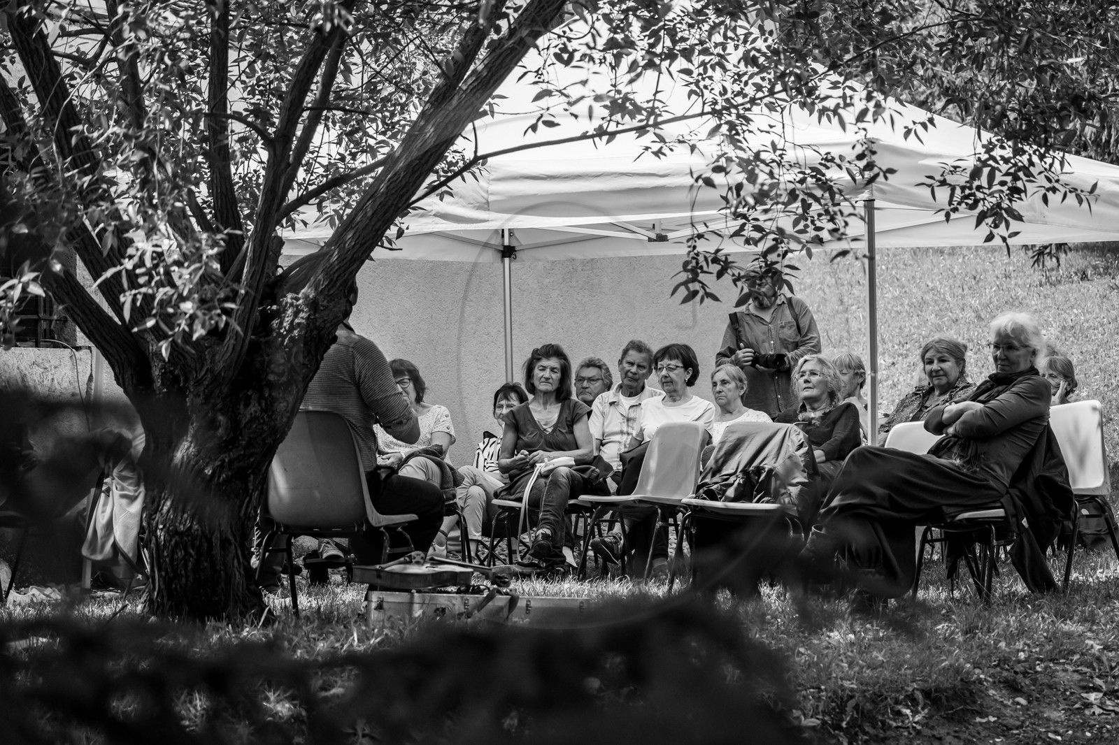 26 juin 2024 : Sieste Musicale avec Balthazar