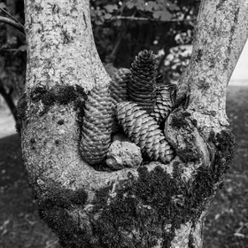 14 septembre 2022 : jeux, laine et promenade