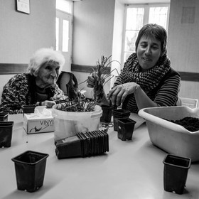 Atelier repiquage de plants de ciboulettes - 05 04 2017