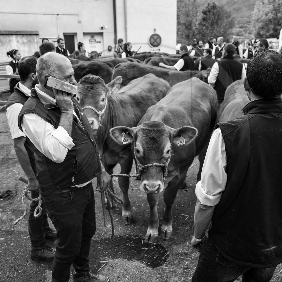 Rencontres paysannes à Saint-Bonnet en Champsaur