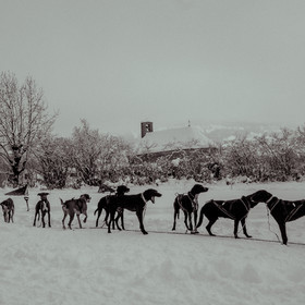 La Valgaude Traineau 2015