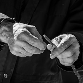 10 avril 2022 : Initiation à la greffe d'arbres fruitiers