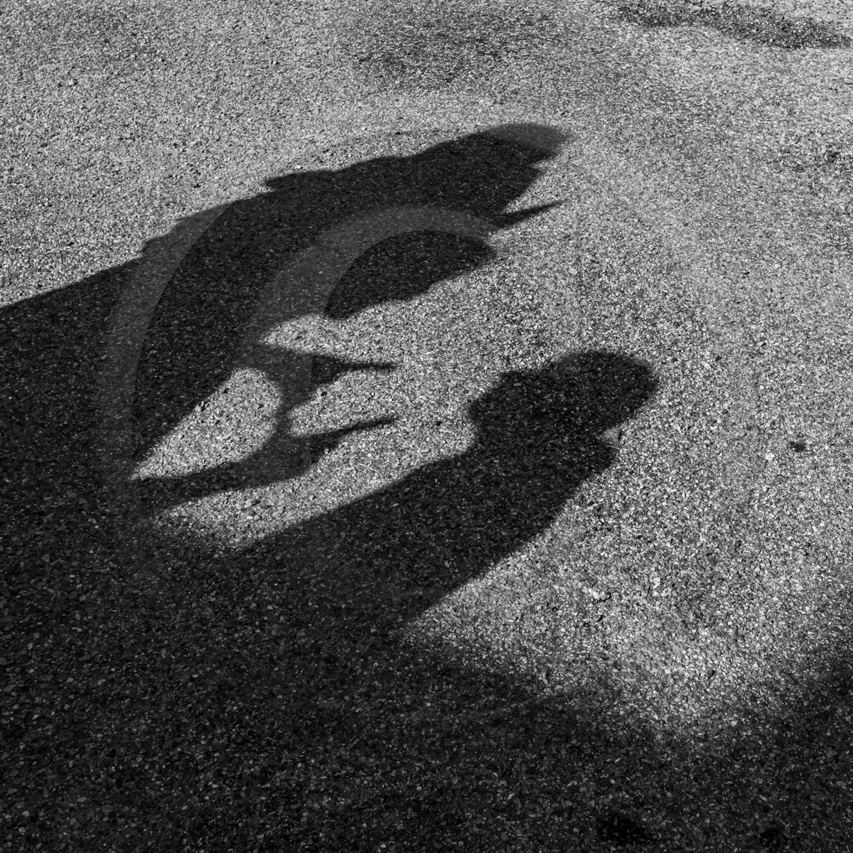 11 mai 2022 : des contes, du jardinage, du plaisir...