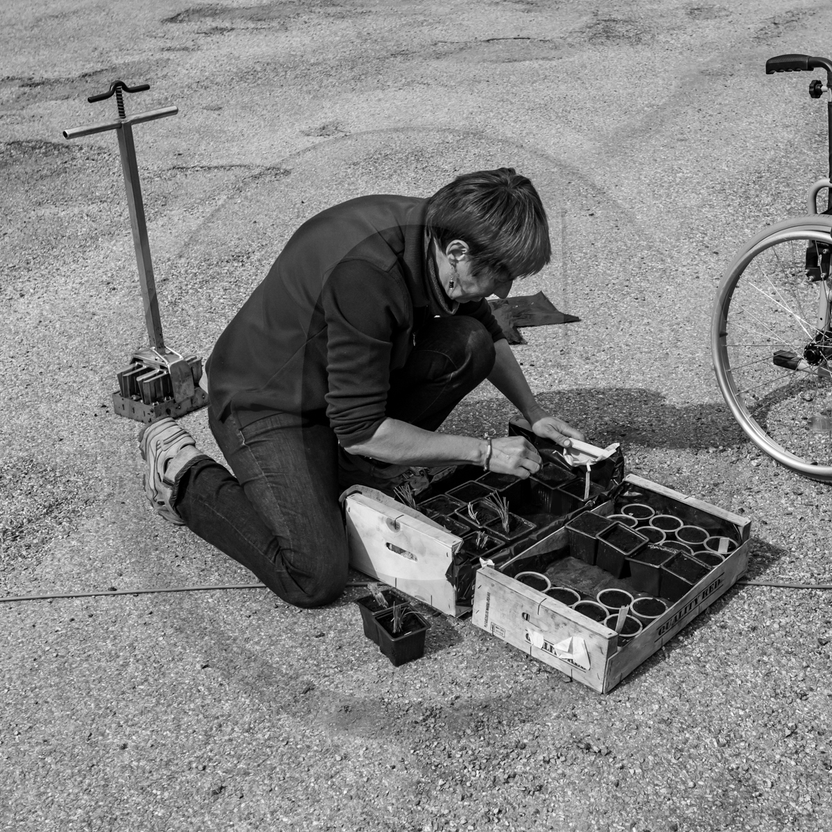 06 avril 2022 : c'est la reprise à l'Ouort