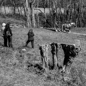 Débardage avec un cheval - 17 04 17