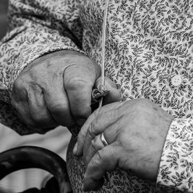 13 septembre 2023 : Osier et HydrOlique