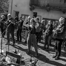 26 octobre 2025 : Les oiseaux de trottoir