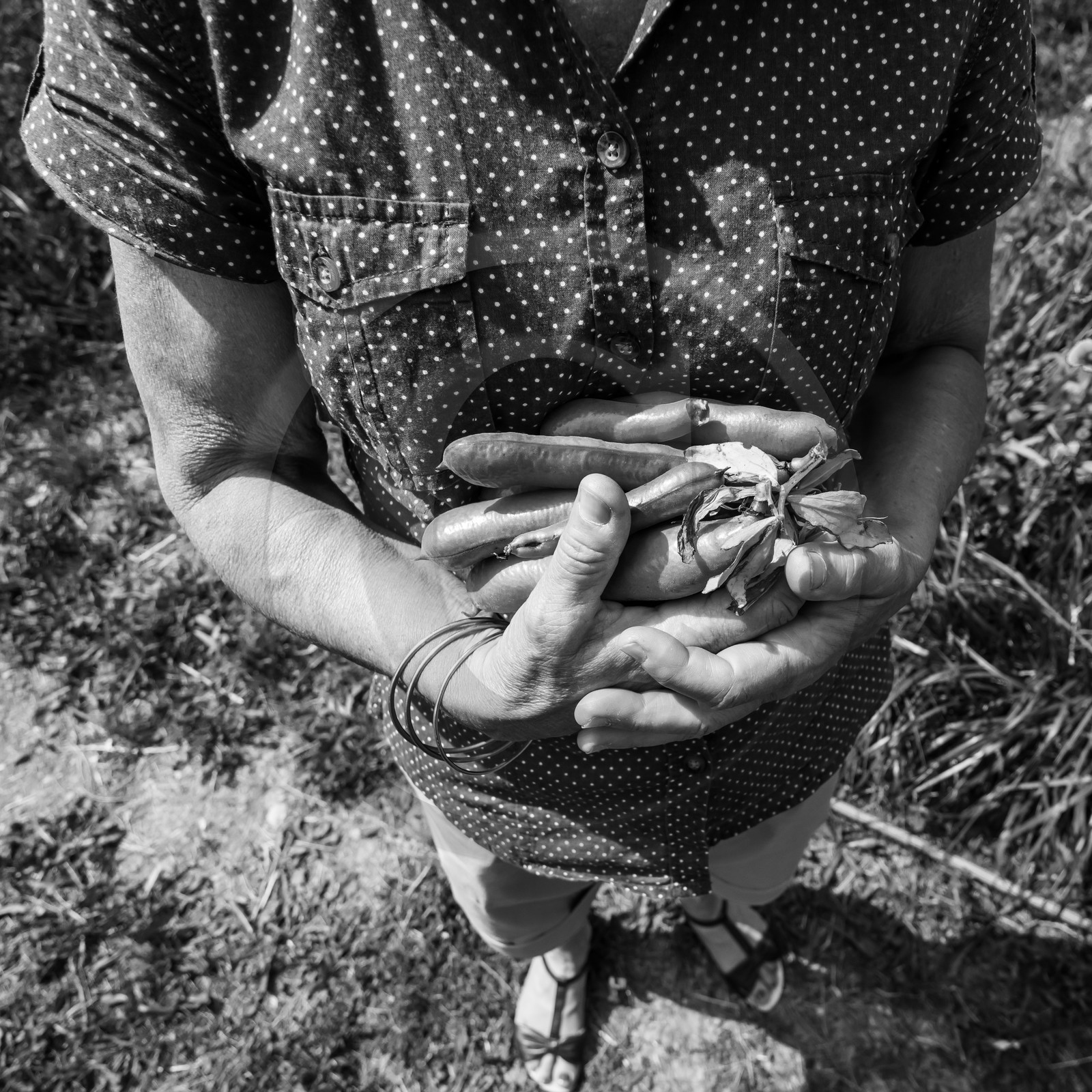 17 juillet 2019 : massages assis