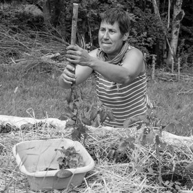 31 mai 2017 - Jardinage