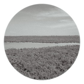 Les instants Camargue