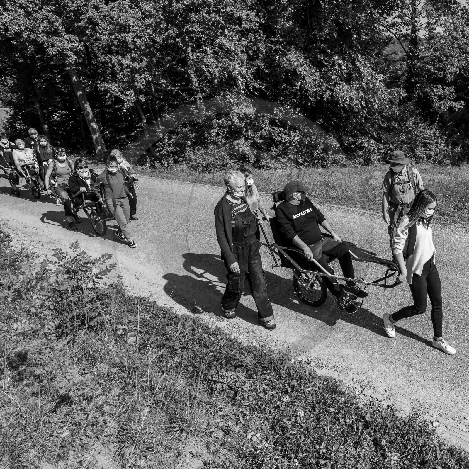 Promenade en joelette