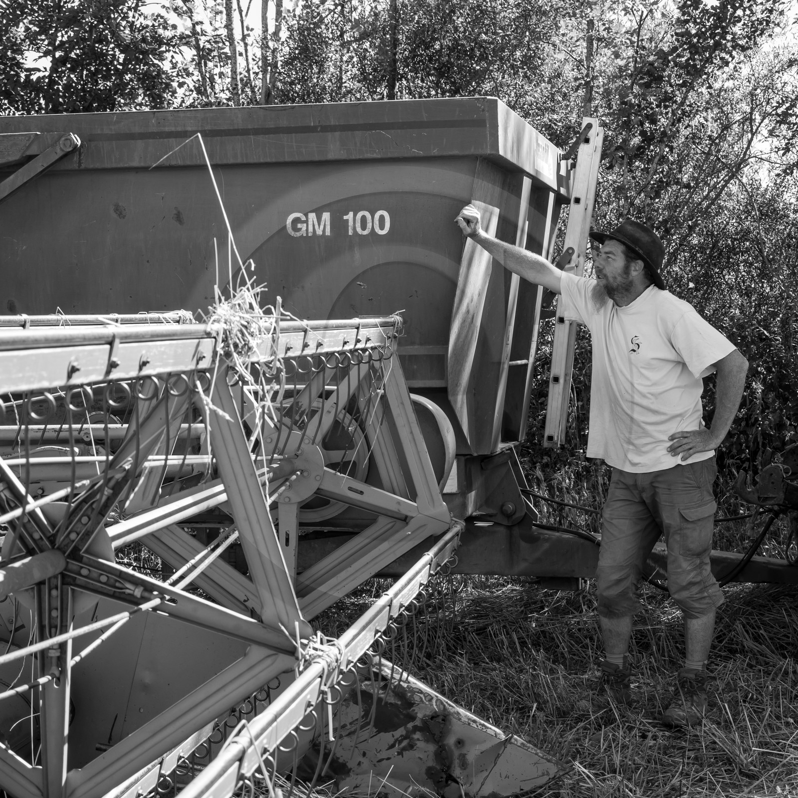 Les moissons dans le Champsaur