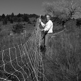 Des moutons et des parcs
