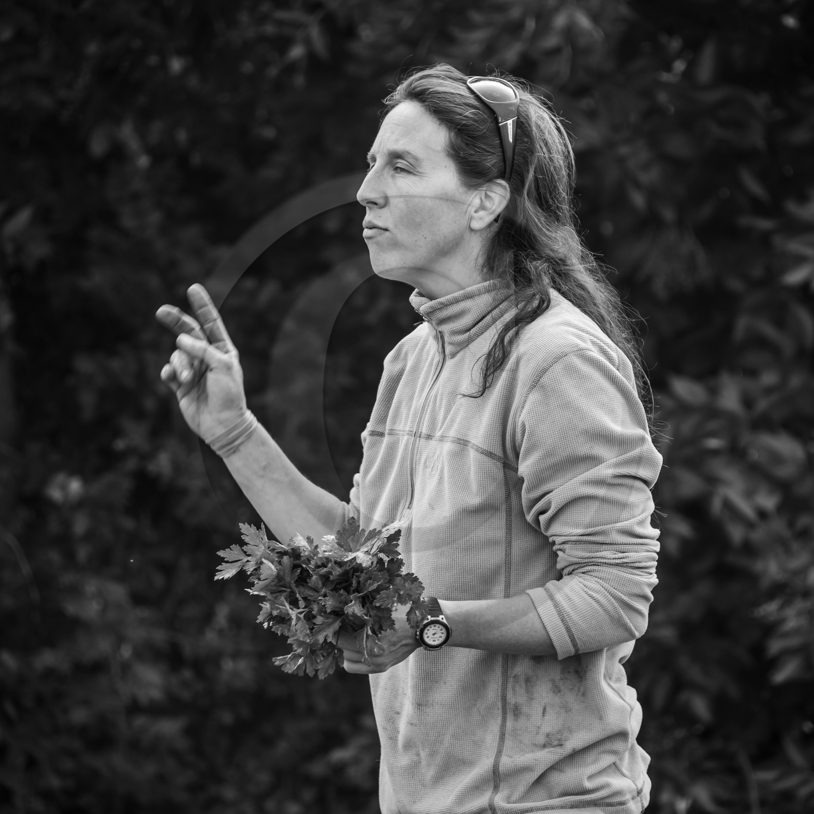 Maraichage biologique dans le Champsaur