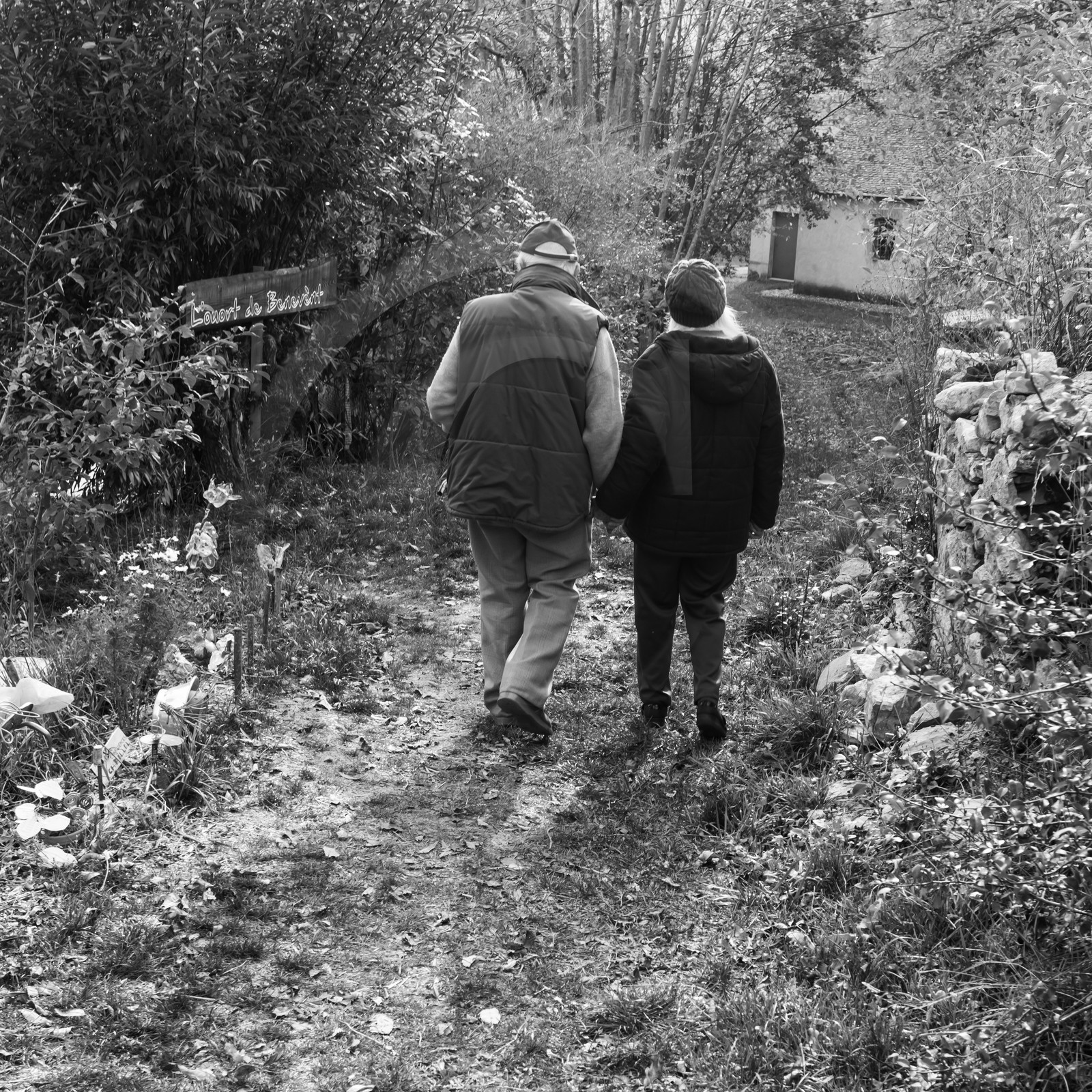 27 octobre 2019 : pommes, soupes et gâteaux