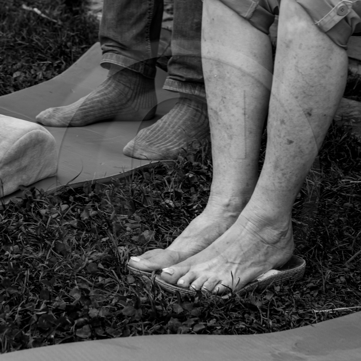 20 mai 2022 : 2ème journée des aidants