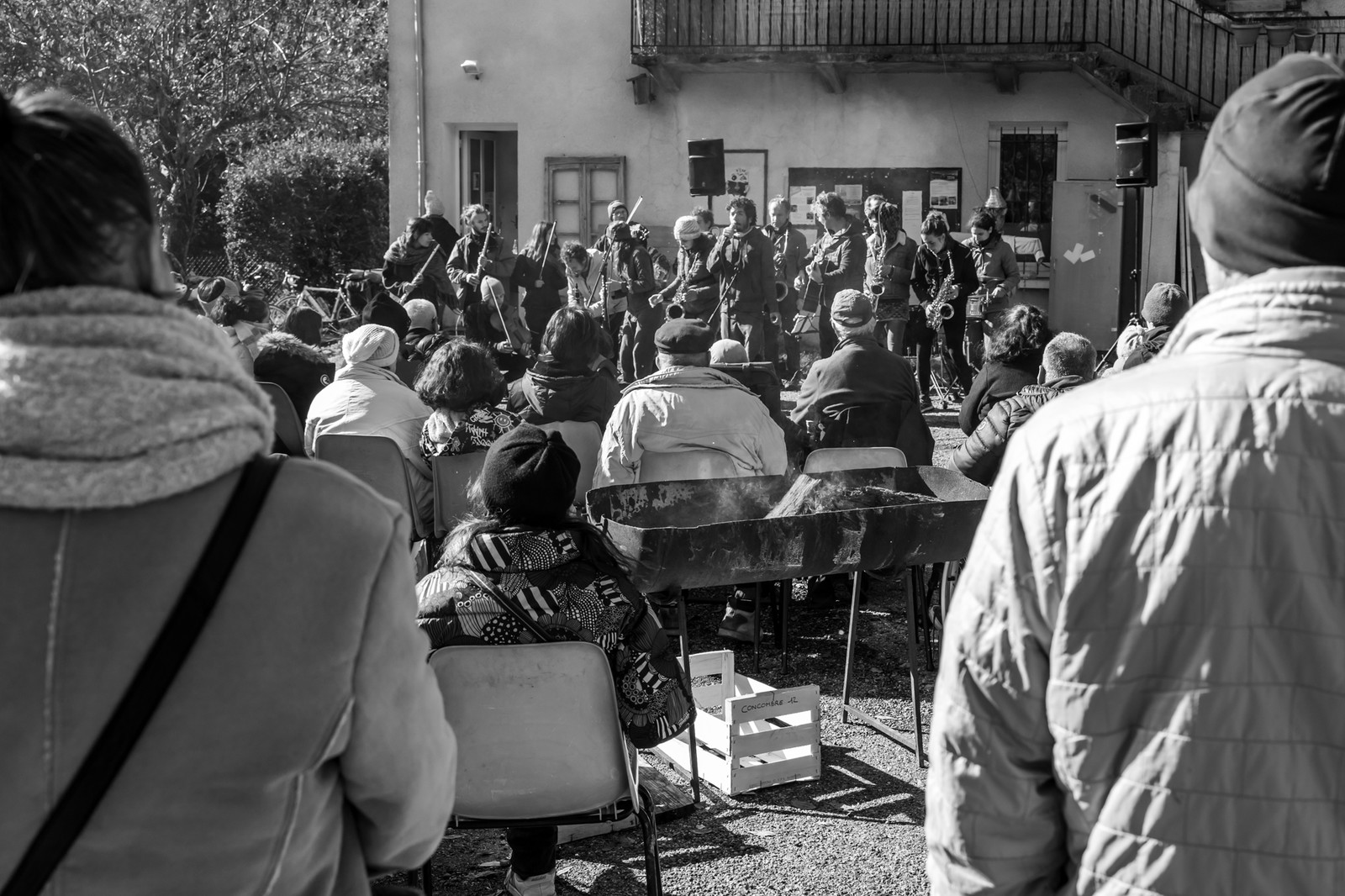 26 octobre 2025 : Les oiseaux de trottoir