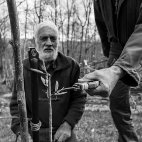 14 avril 2021 : collages, taille, jardinage