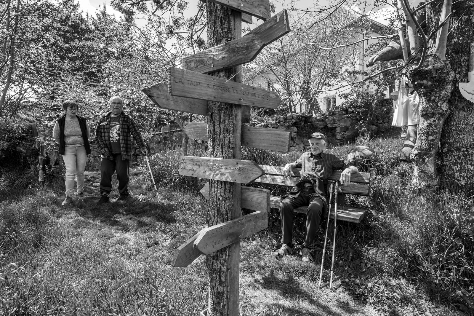 30 avril 2025 : Un oiseau en osier