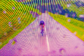 Le Tour de France cycliste 2021