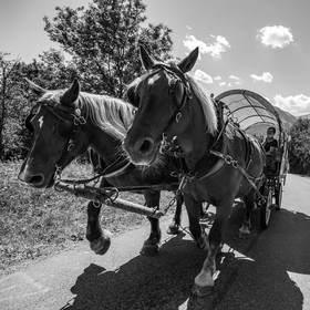 01 septembre 2021 : Promenade en cariole et contes