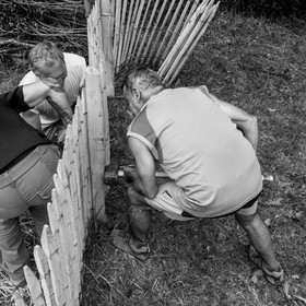 14 juin 2017 - Pose de la clôture