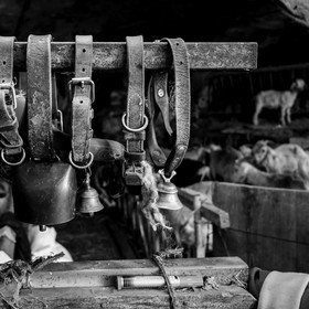 Le mohair arc en ciel