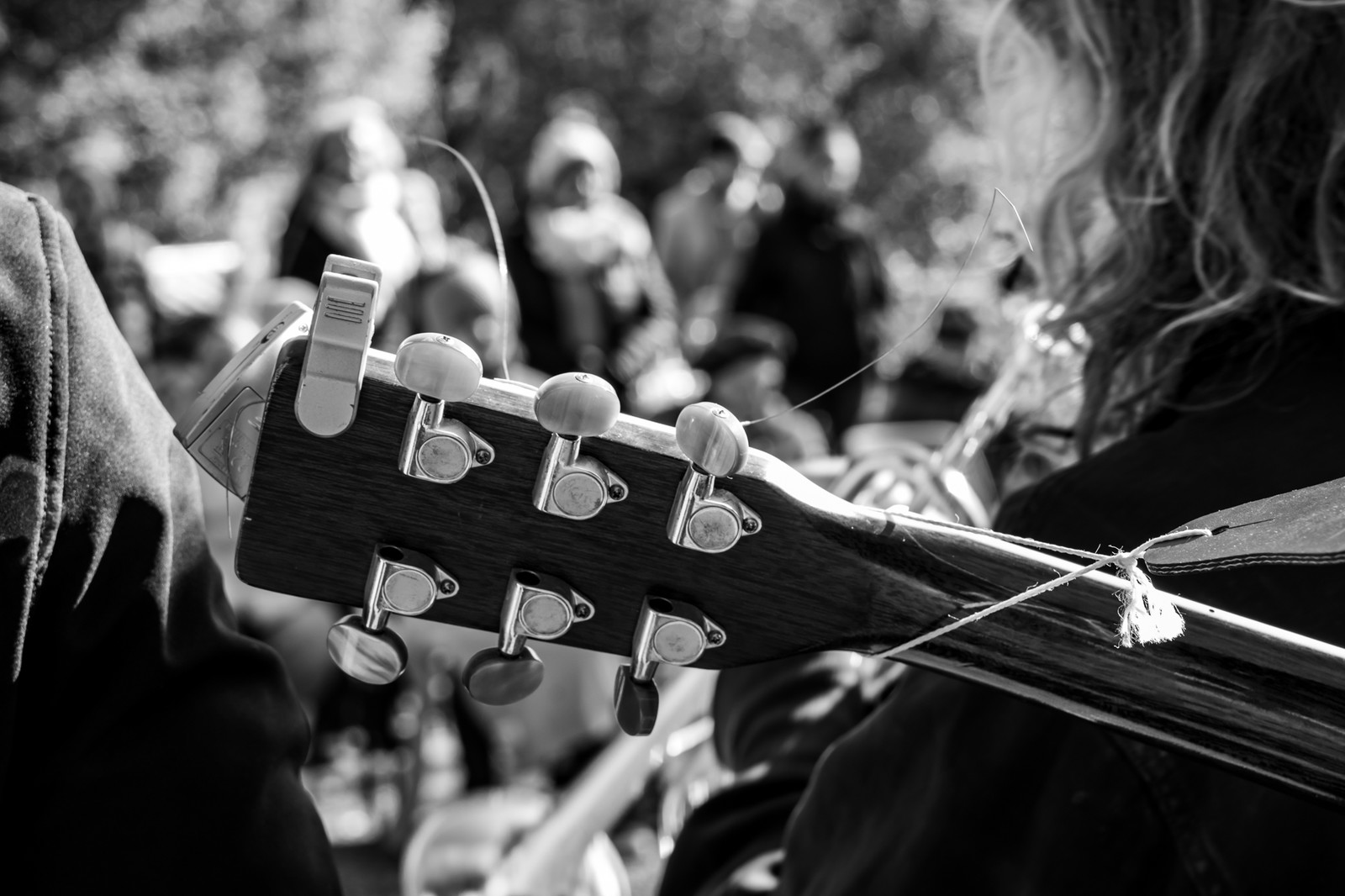26 octobre 2025 : Les oiseaux de trottoir