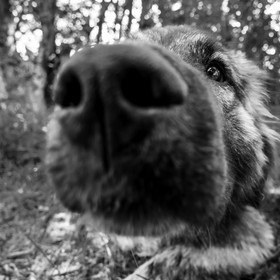 Animations au jardin