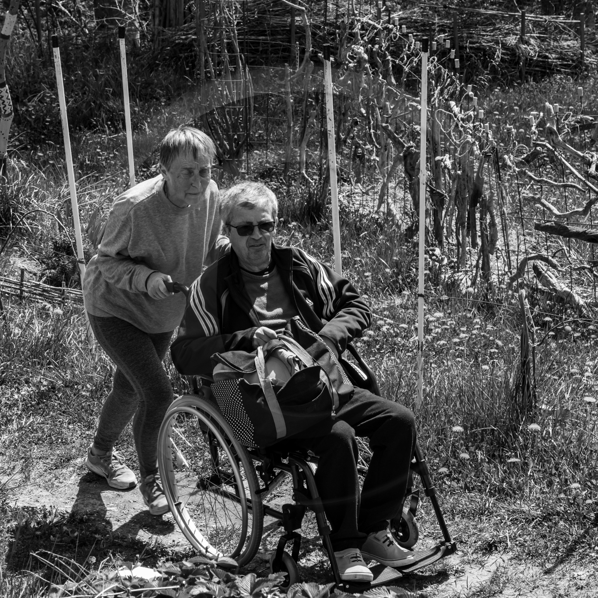 29 avril 2022 : journée des aidants et des aidés