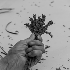 Atelier Fuseaux de lavande