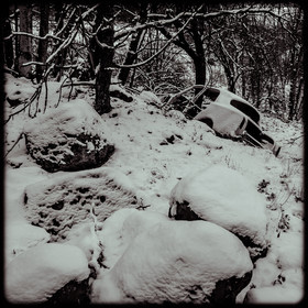 Un cimetière de voitures