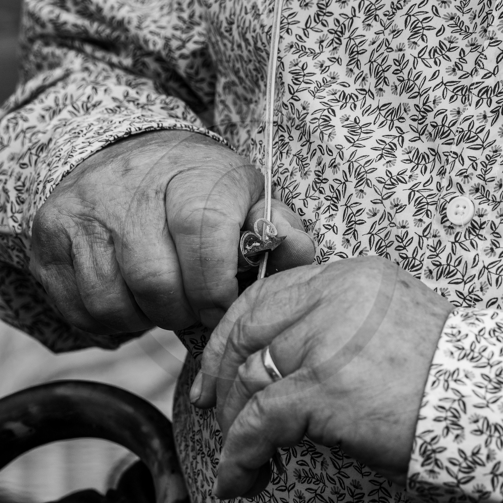 13 septembre 2023 : Osier et HydrOlique