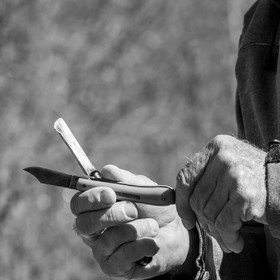 10 avril 2022 : Initiation à la greffe d'arbres fruitiers