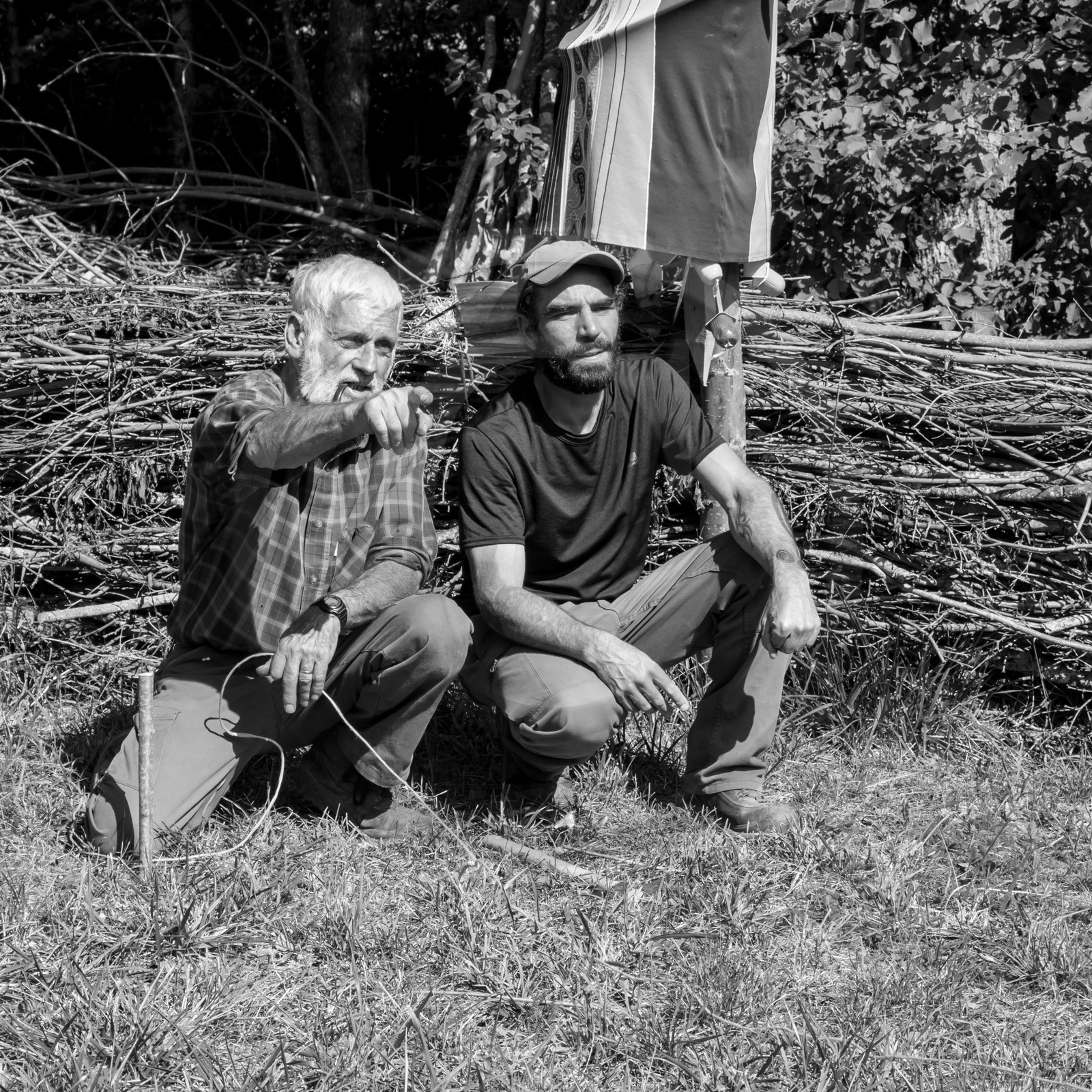 13 septembre 2017 - Chemins - Graines