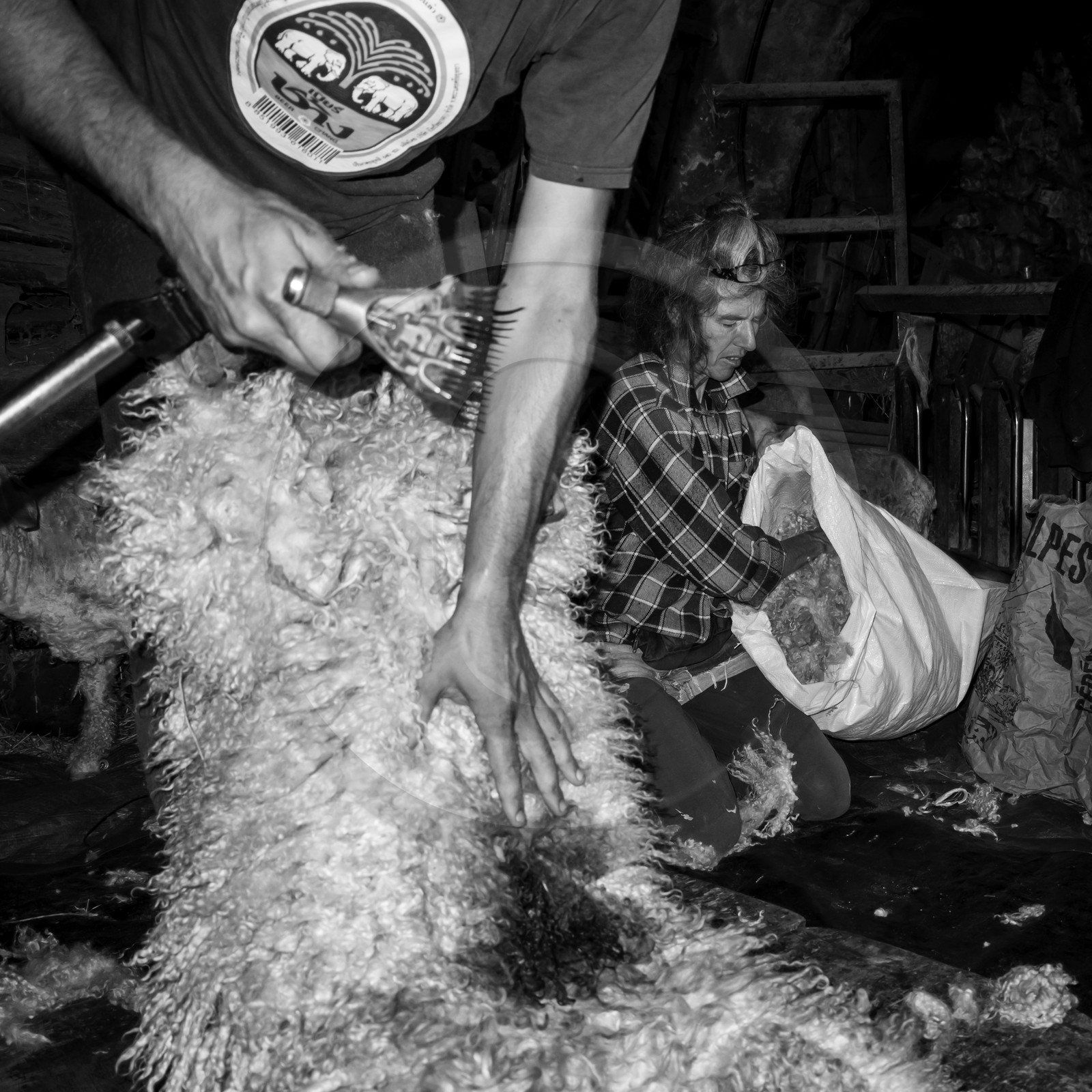 Le mohair arc en ciel