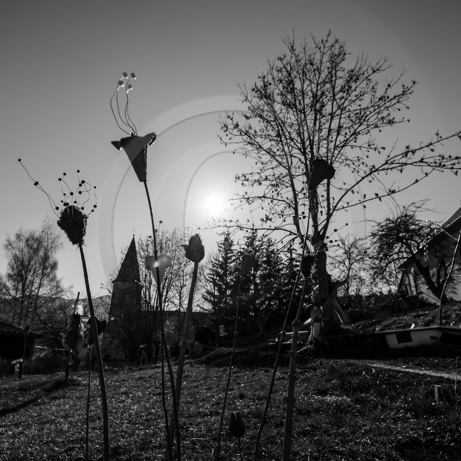 20 mars 2018 : une après-midi au jardin