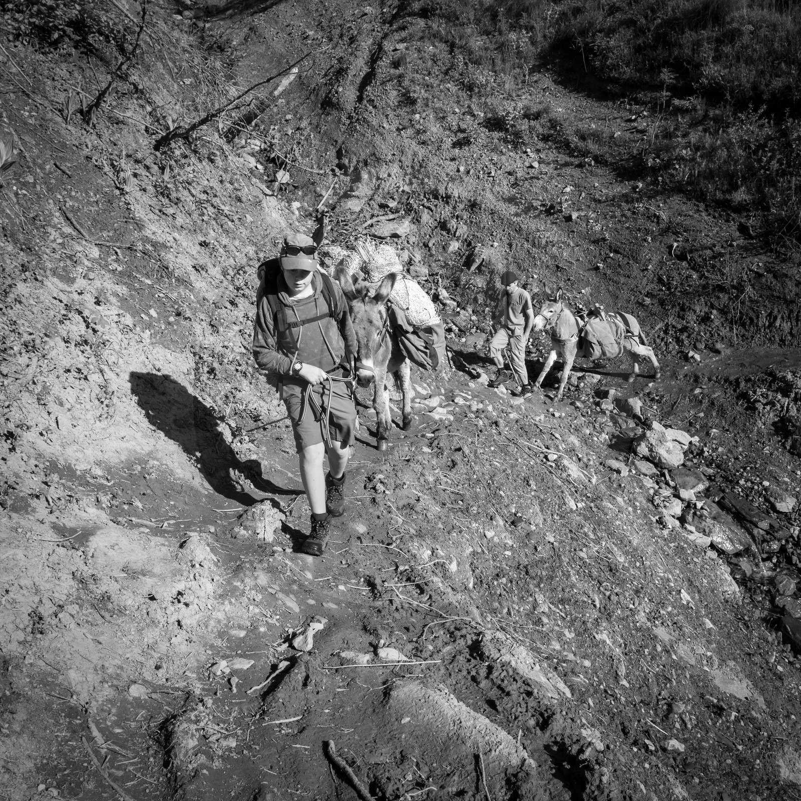 Portage avec des ânes