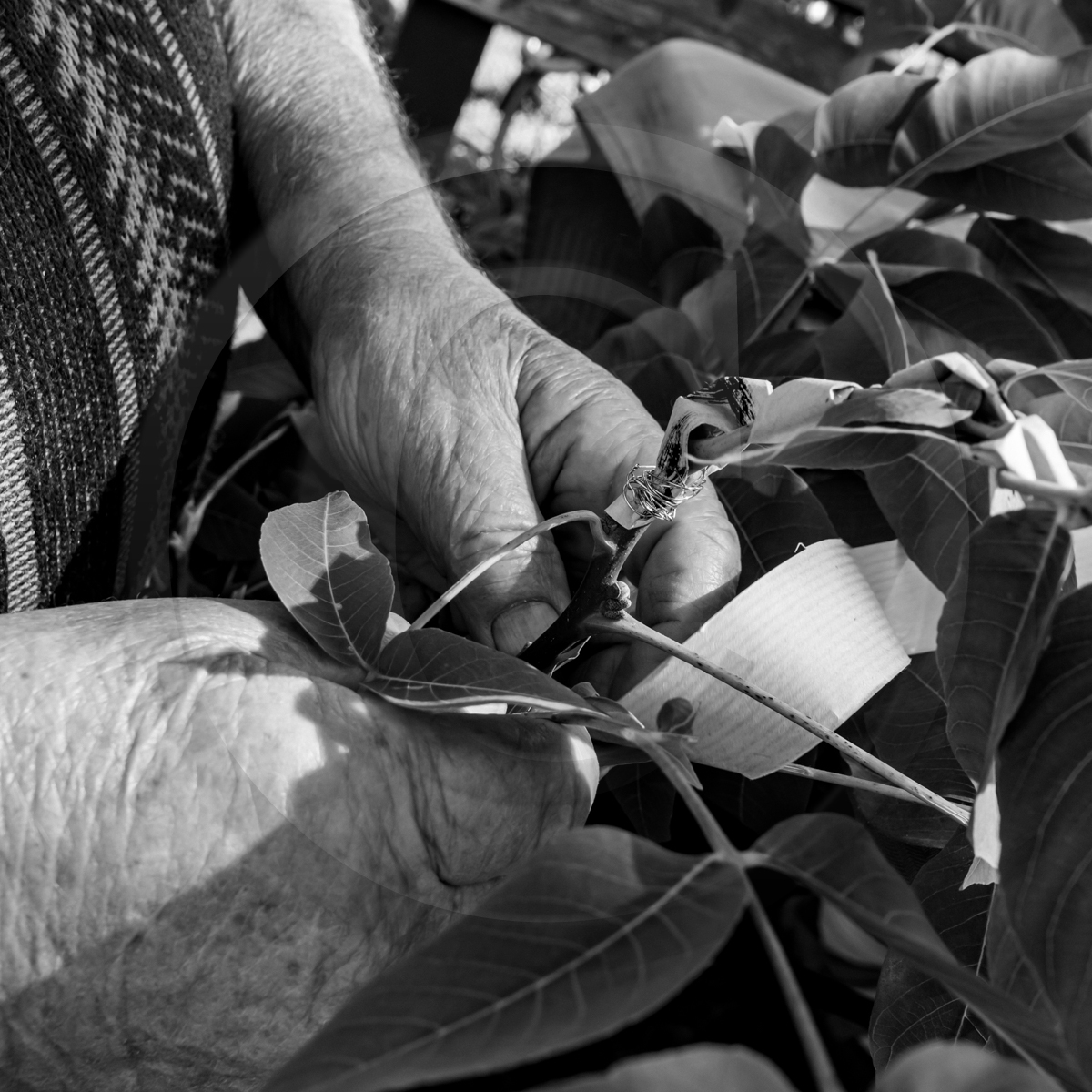 09 septembre 2022 : Journ&ée des aidants et des aidés