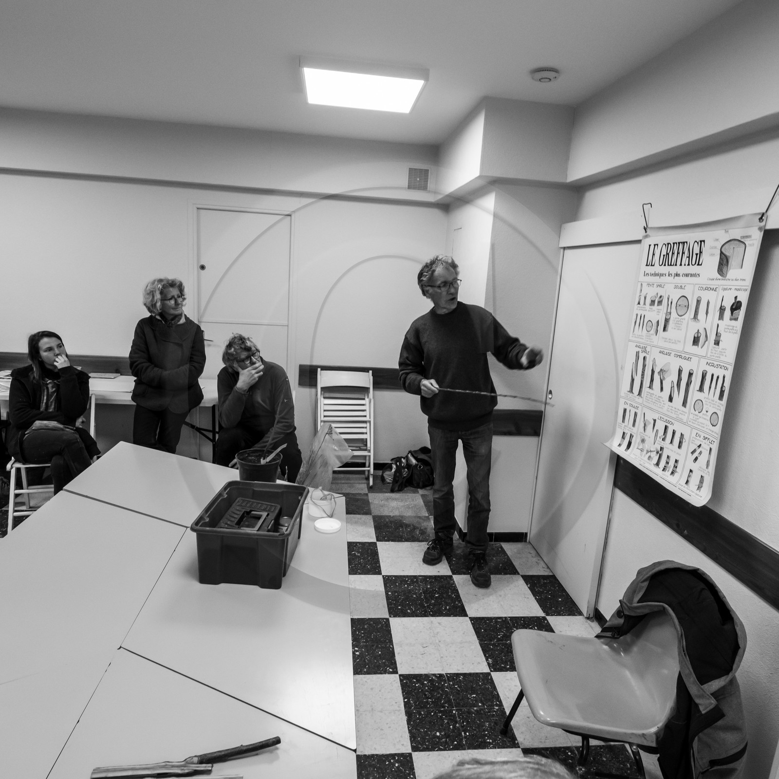 03 avril 2019 : Initiation à la greffe d'arbres fruitiers