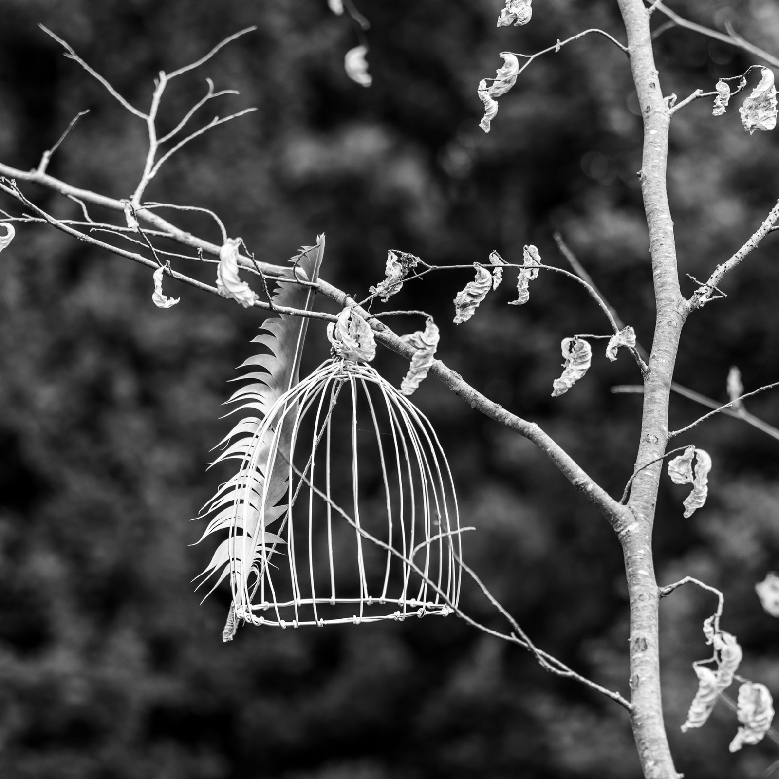 27 août 2025 : Jeux, tissages et photos