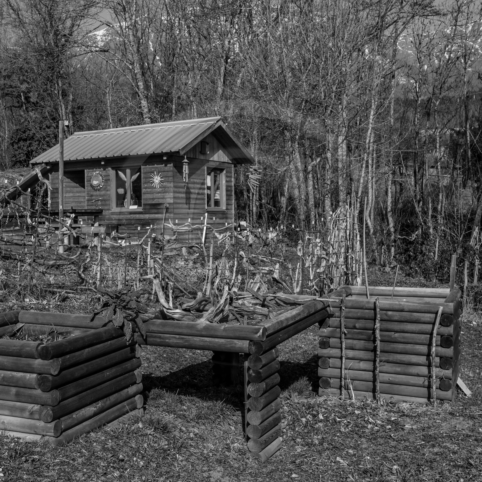 24 février 2021 : on taille, on prépare le jardin...